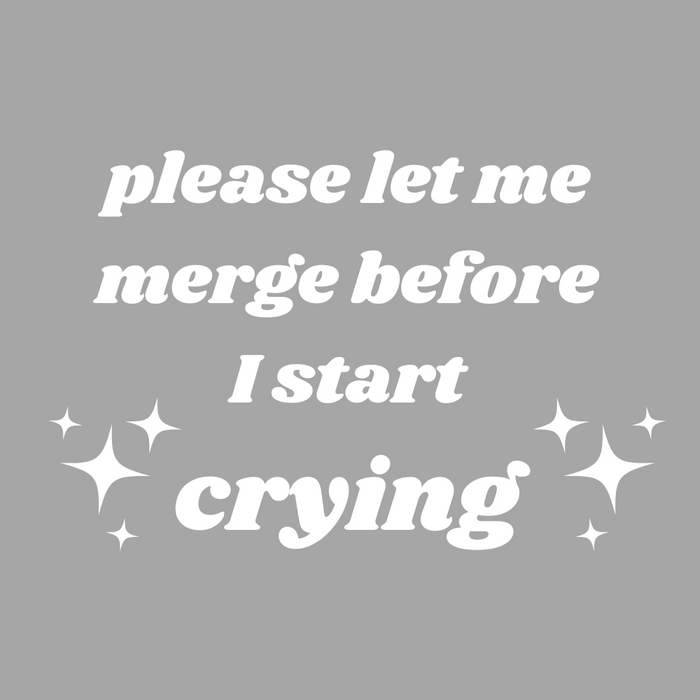 Window/Car Decal | "please let me merge before I start crying" | Transfer Decal