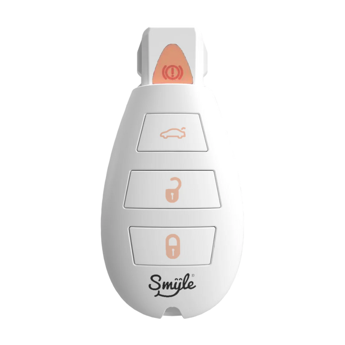 Car Key Penjamin by Smyle Labs BattSkins Car Key Penjamin by Smyle Labs BattSkins
